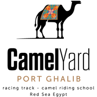 Camel Yard logo