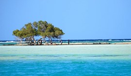 Qulaan Mangroove beach, a superstitious fairytale in the Egyptian Riviera  Photo