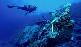 Abu Galawa, a Fascinating diving site at Marsa Alam  Photo