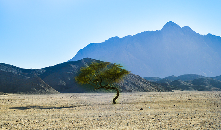 مدينة الذهب Photo