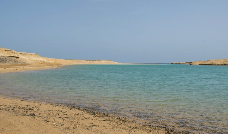 Om Jalawa, Port Ghalib’s hidden gem  Photo