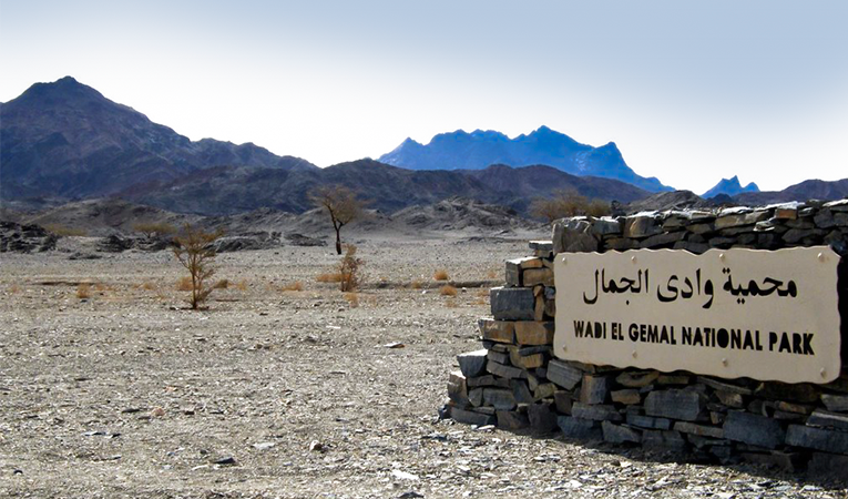 New environmental homes for “Wadi El-Jammal” residents, a great development to a “one-of-a-kind” Egyptian reserve  Photo