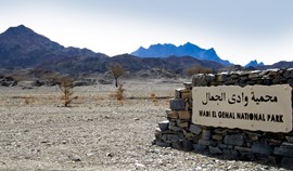 New environmental homes for “Wadi El-Jammal” residents, a great development to a “one-of-a-kind” Egyptian reserve  Photo